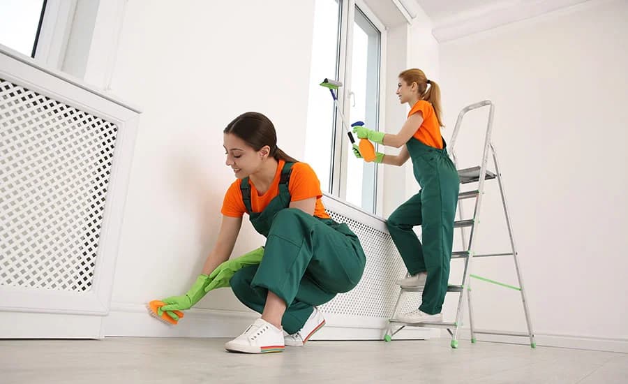 Home cleaning illustration